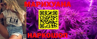 шишки Новозыбков