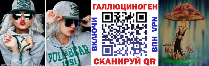 купить закладку  Биробиджан  площадка клад  Галлюциногенные грибы Psilocybine cubensis 