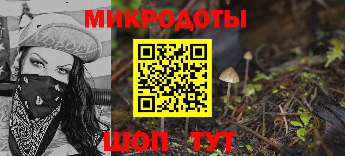 Галлюциногенные грибы GOLDEN TEACHER  Вход с VPN  Биробиджан 