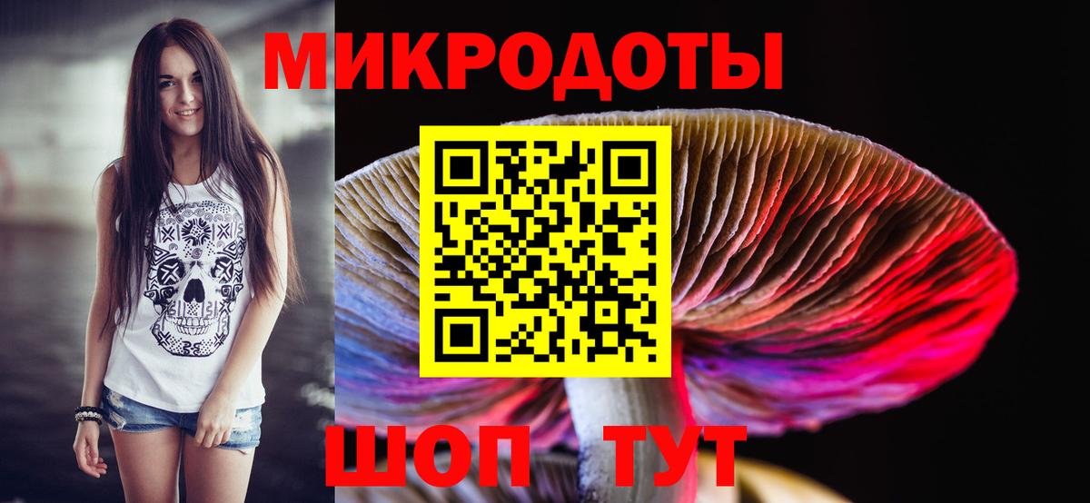 Галлюциногенные грибы Cubensis Биробиджан